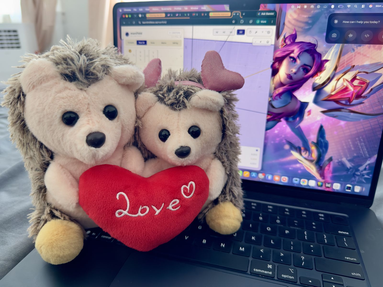 A cozy corner of the Limitless workspace